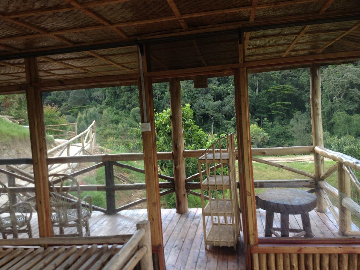 Bugambira Rushaga Gorilla Lodge الغرفة الصورة